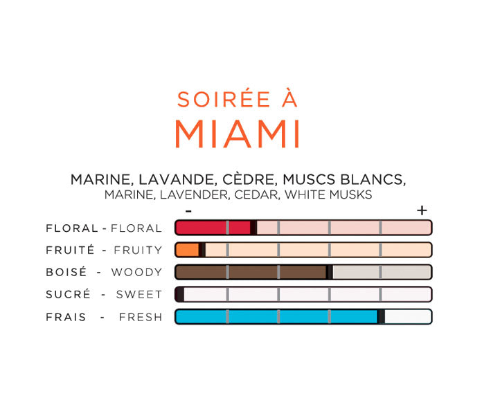 Soirée à Miami