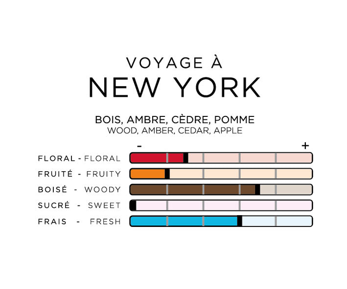 Voyage à New York