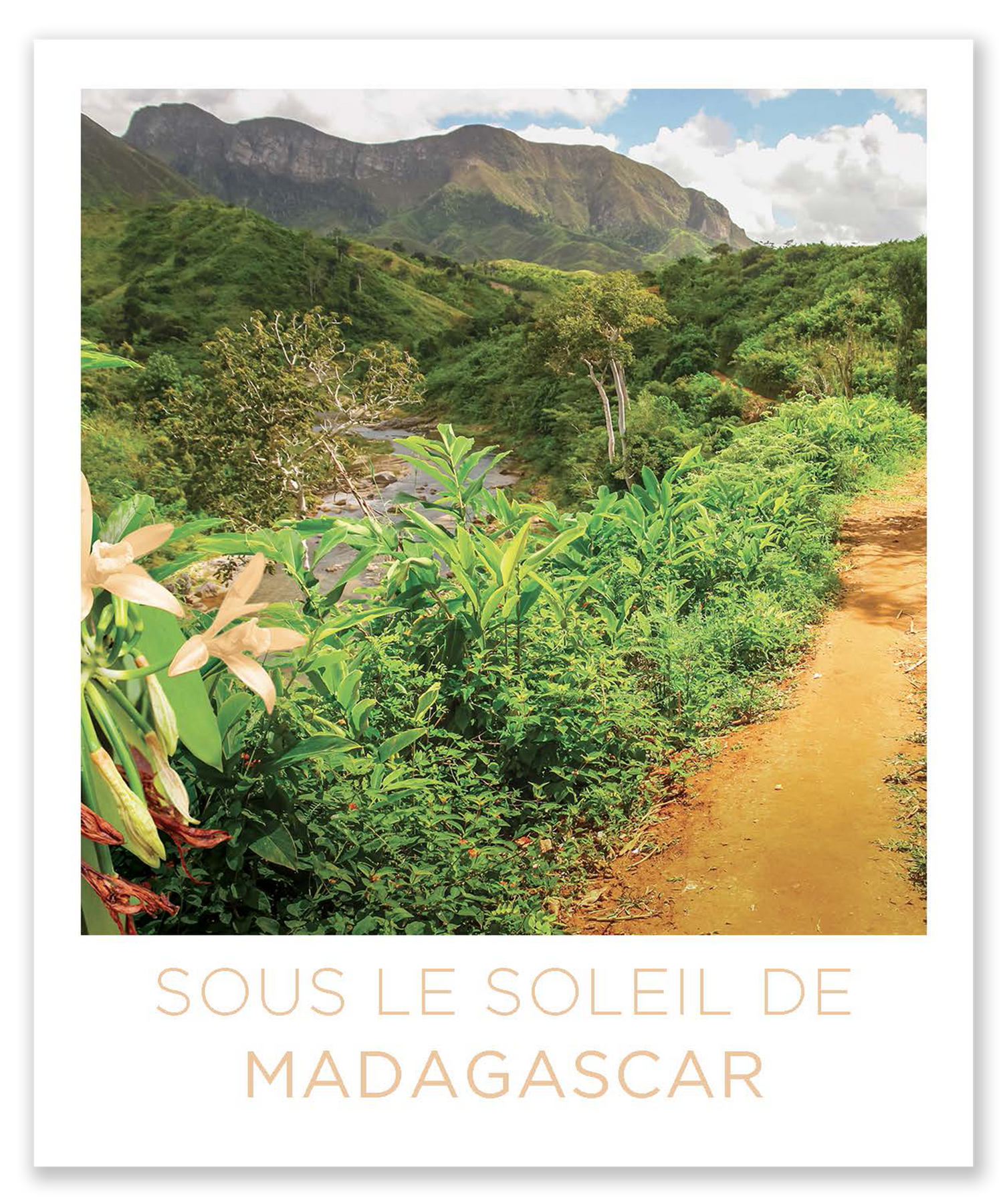 Sous le soleil de Madagascar